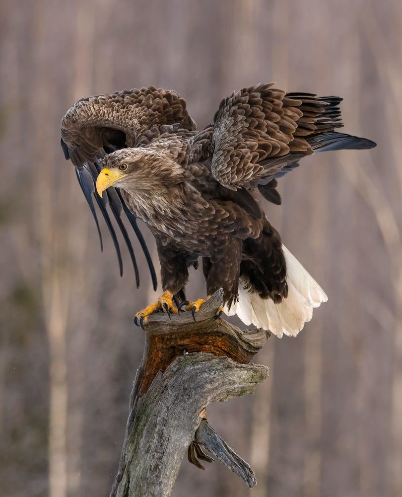 Photograph by Татьяна Алешка