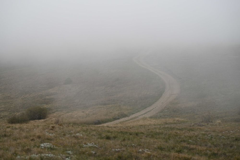 Photograph by Antonina Marchenko