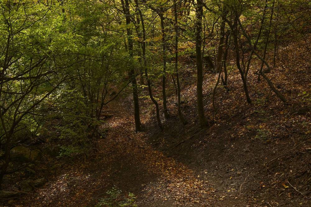 Photograph by Antonina Marchenko