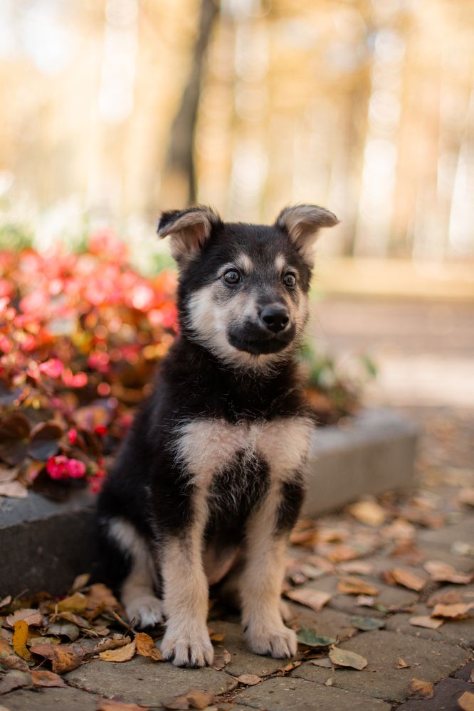 Photograph by Natasha Stugireva