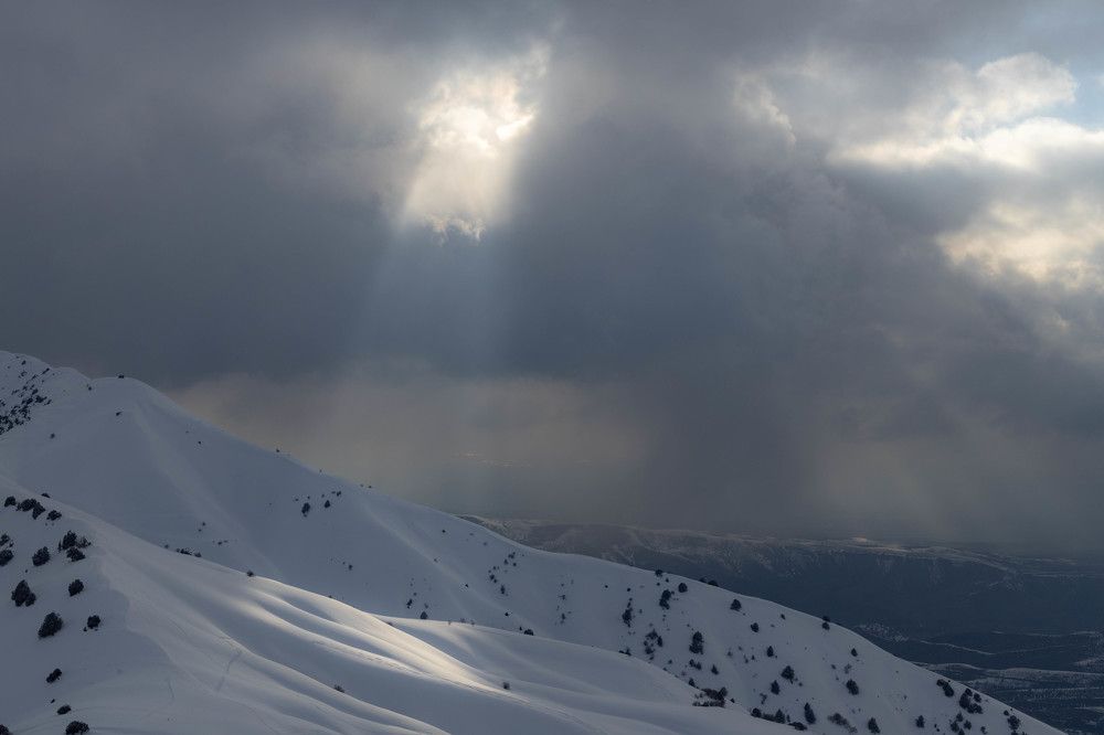 Фотография автора Van Gross