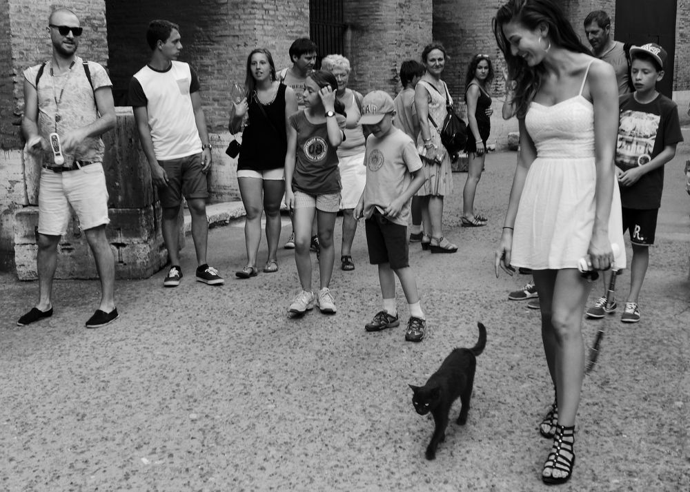 the Guardian of the Colosseum