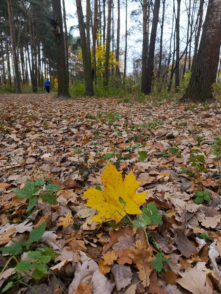 Photograph by Татьяна Пальчикова