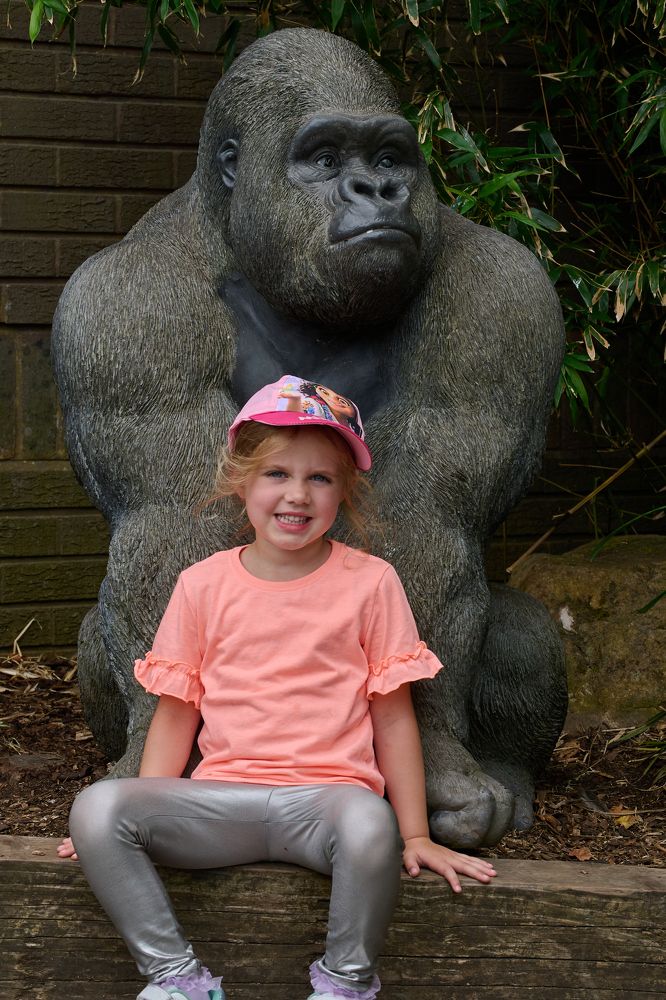 Фотография автора Ray Farrell