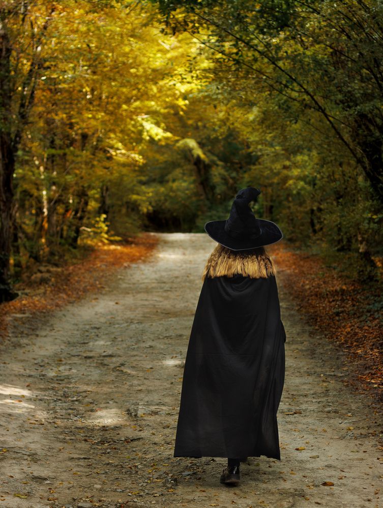 Photograph by Екатерина Краснобокая