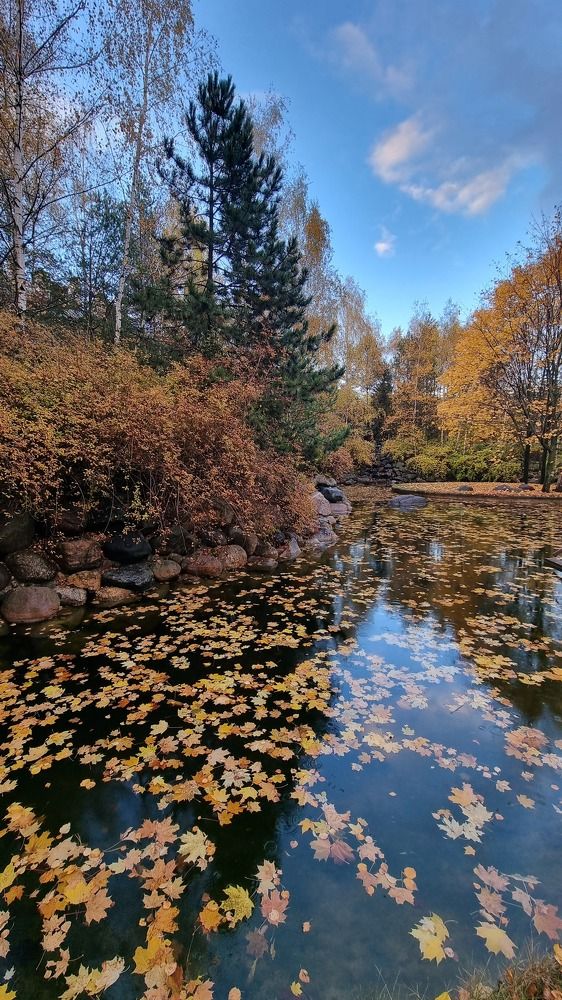 Фотография автора Наталья