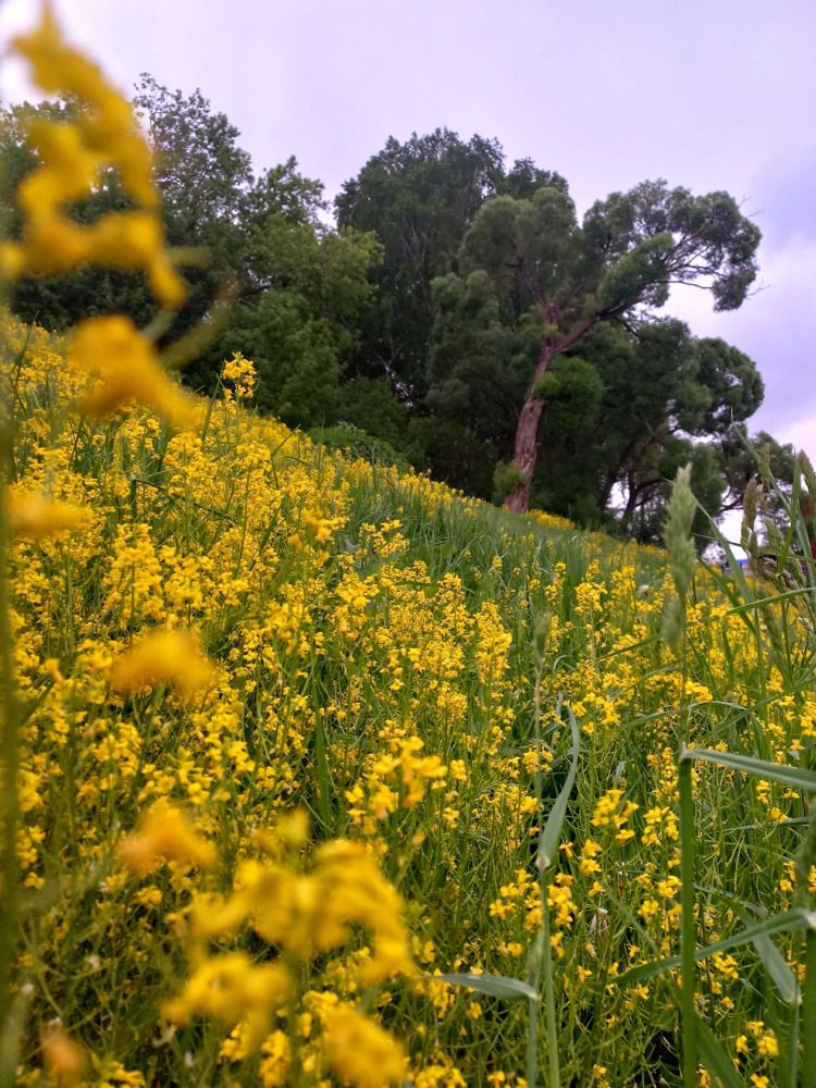 Photograph by Елена Дарьенко