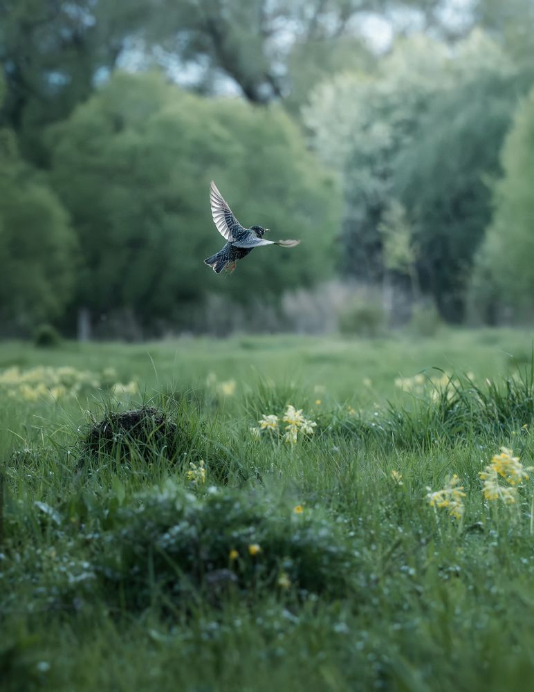 Photograph by Мозжухин Максим