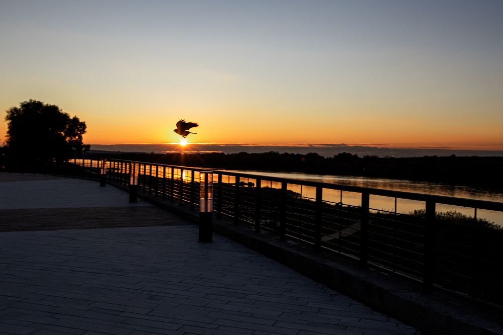 Photograph by Светлана Карнаух