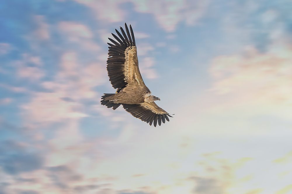 Photograph by Сергей Лексин