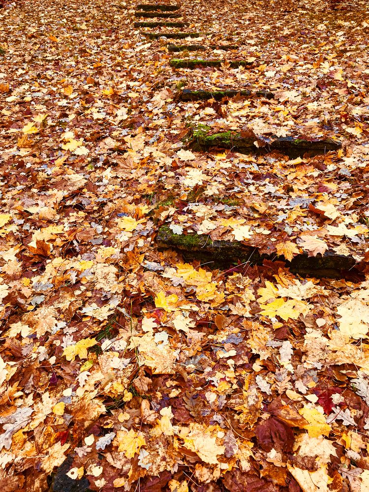 Photograph by Наталья Суслова