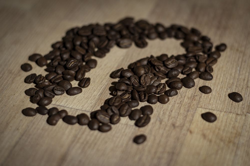 Фотография автора Войнов Дмитрий