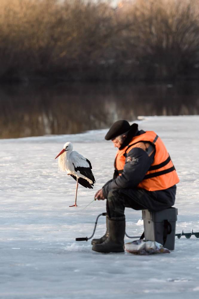 Photograph by Юлия Лаптева
