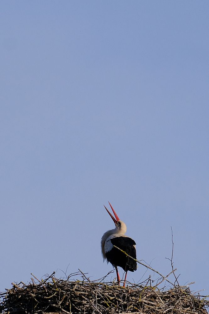 Photograph by Александр Творогов