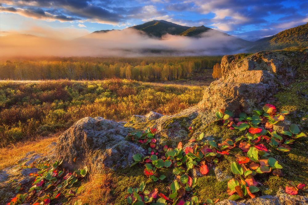 Рассвет Тигирека