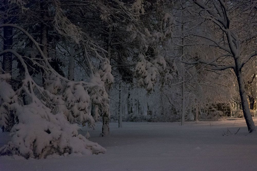 Городская зимняя сказка