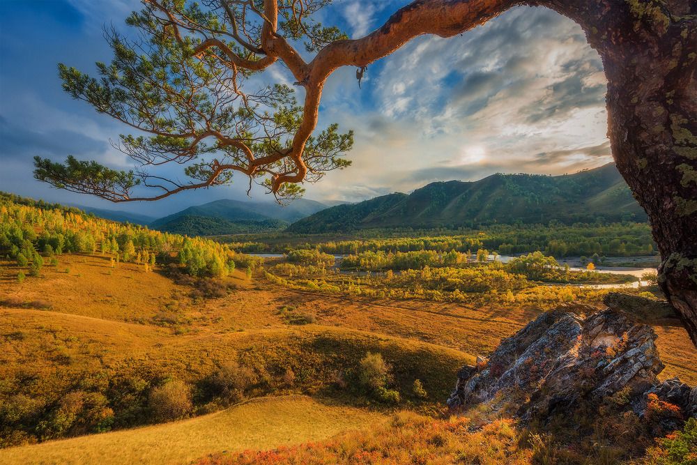 Протянутая рука