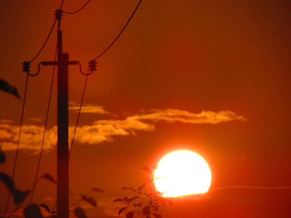 Photo #1125380