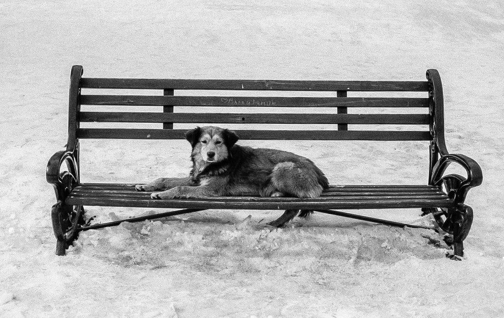 Photograph by Дмитрий Шаров