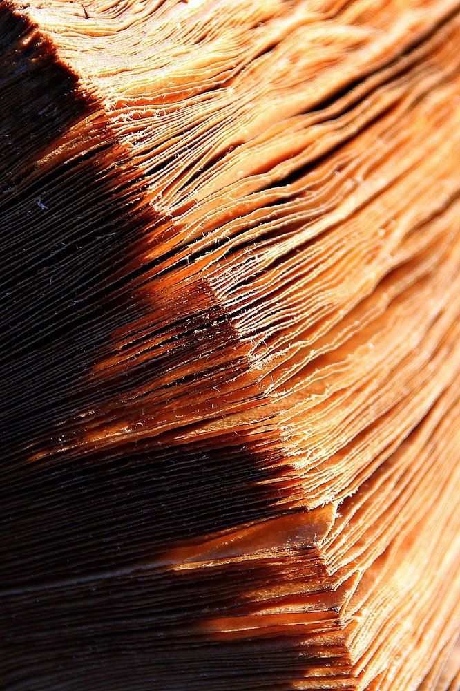 Старые страницы...