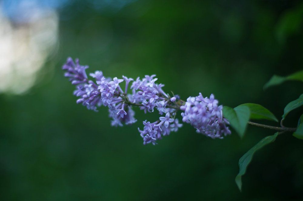 Photograph by Игорь