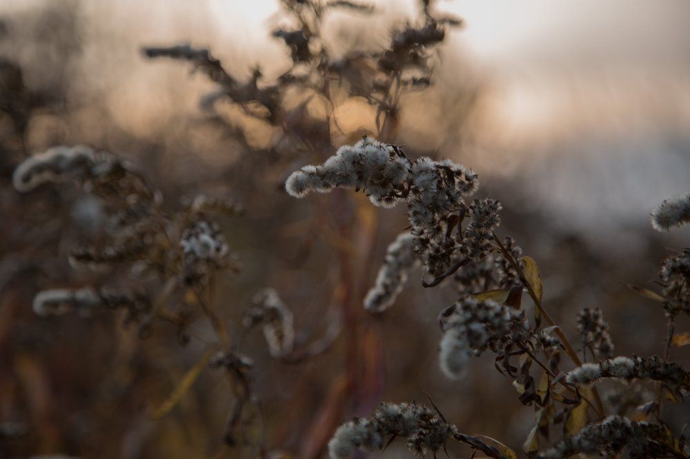 Photograph by Татьяна