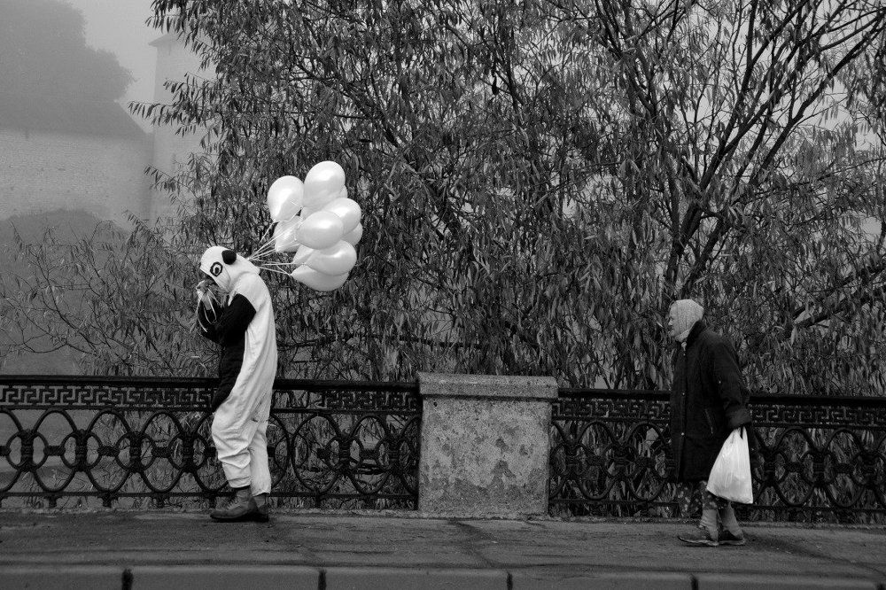 Photograph by Егоров Михаил