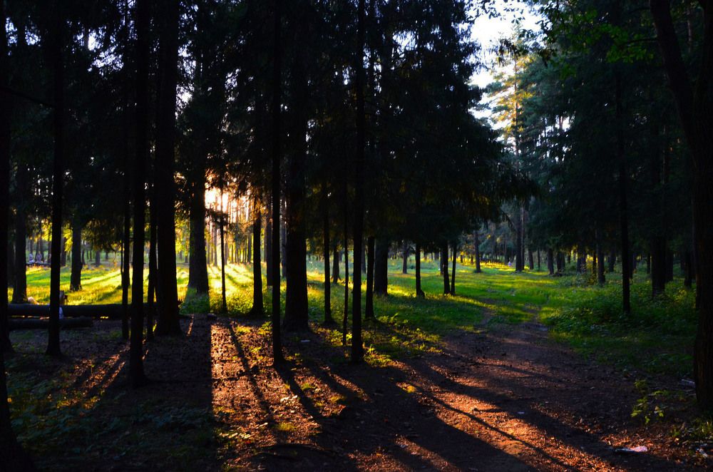 Природа России