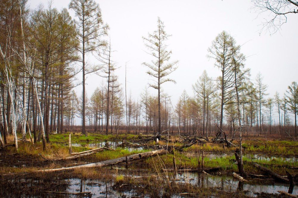 Photograph by Иван