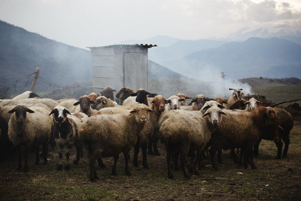 Внимание! снимаю