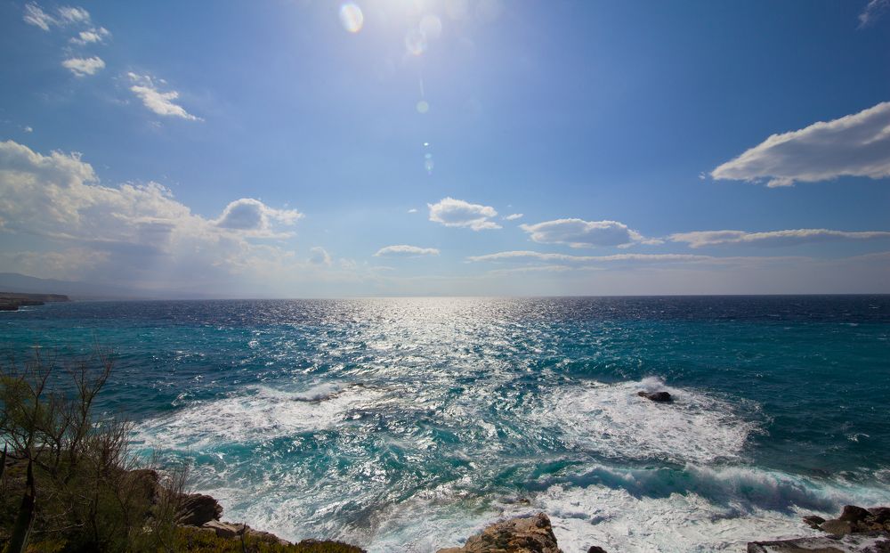 Красота свободы