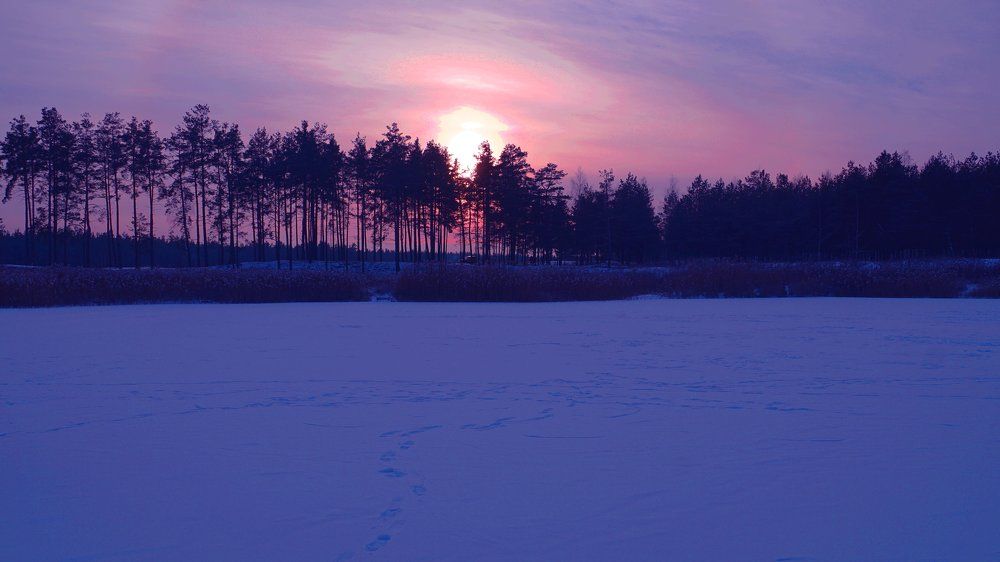 Photograph by Игорь