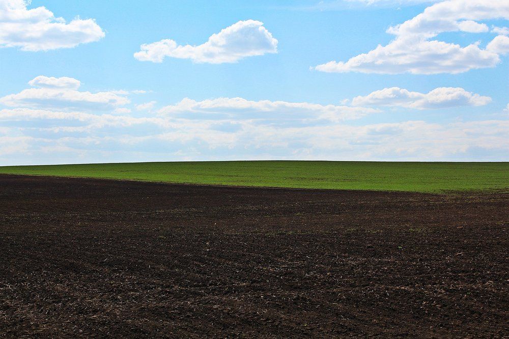 Природная геометрия