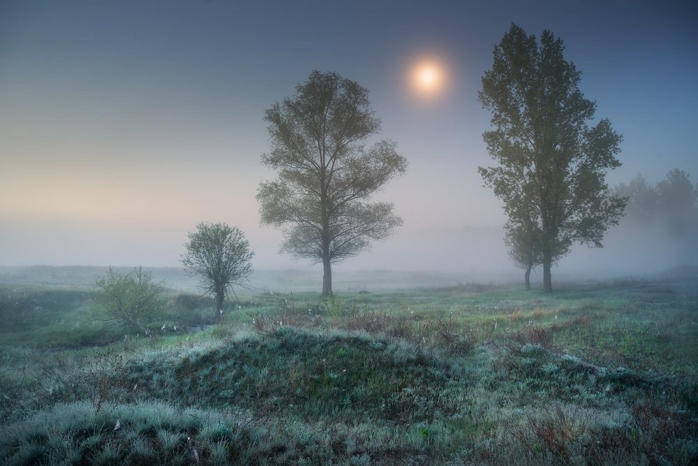 Полнолуние на Болоте, часть третья, жизнерадостная...