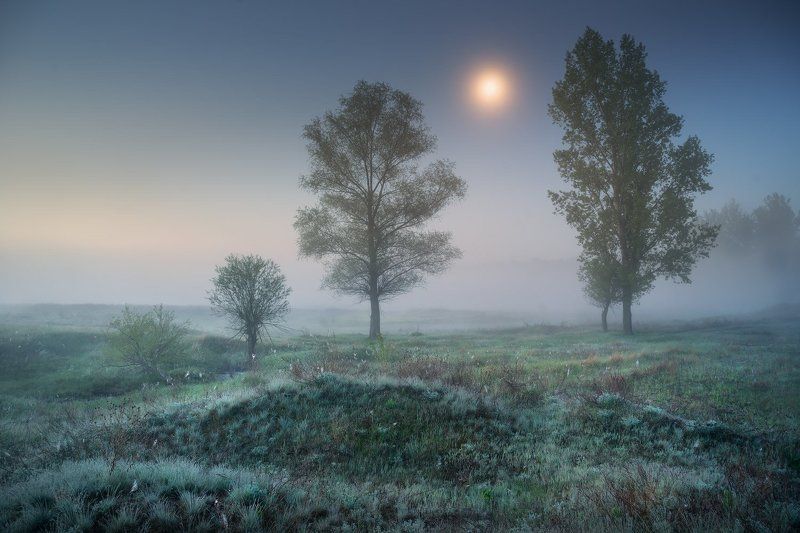 Александр Киценко, Ukraine