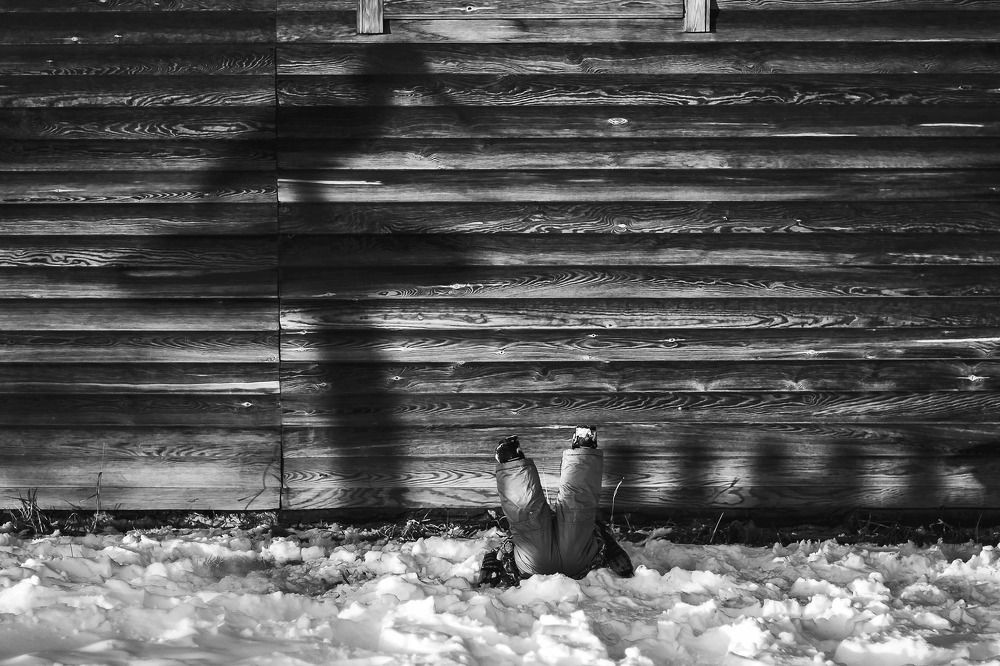 Выпавший из гнезда...