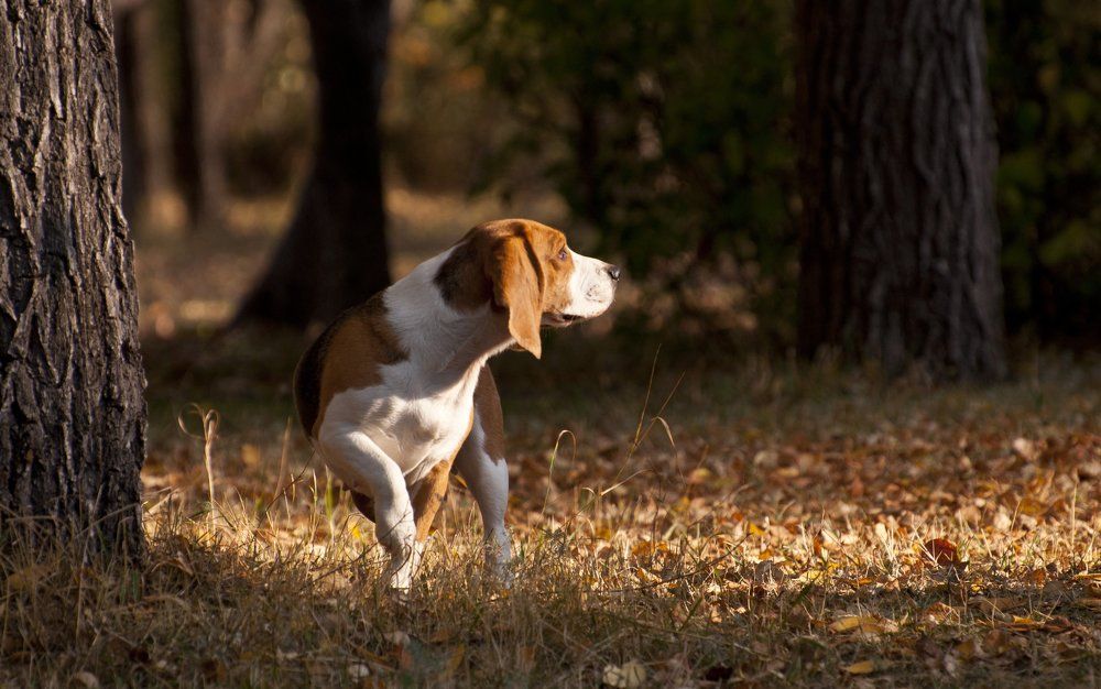 Photograph by Anastasia