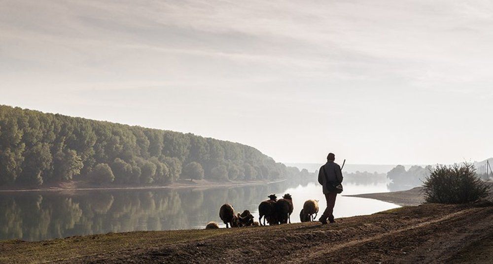 Днестровские просторы.