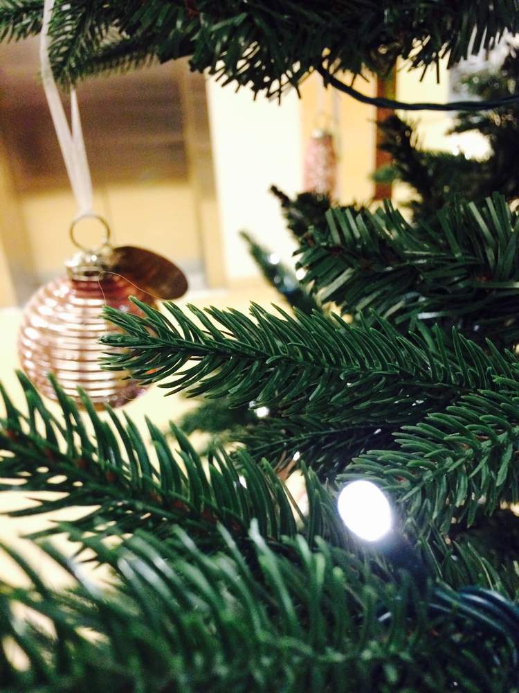 Новогодний натюрморт