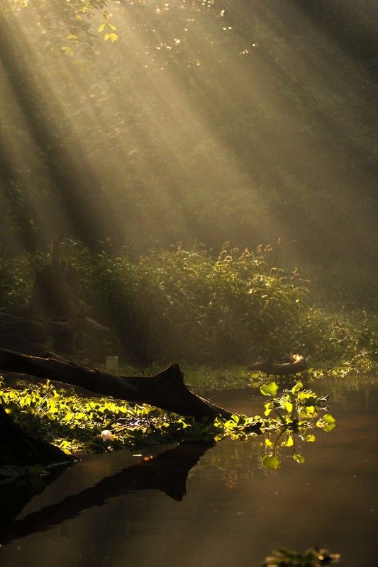 Sidnei Marcondes, Brazil