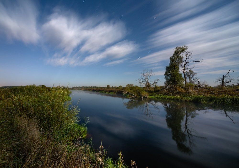 Под лунным светом