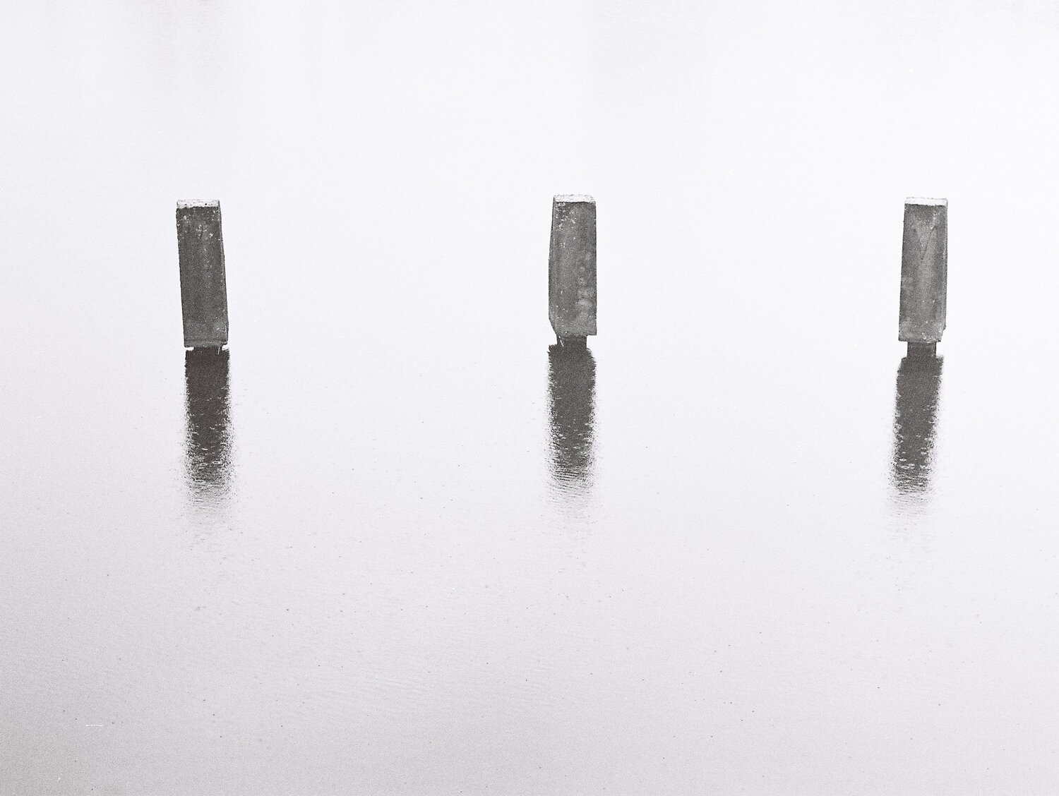 Photo #1127268
