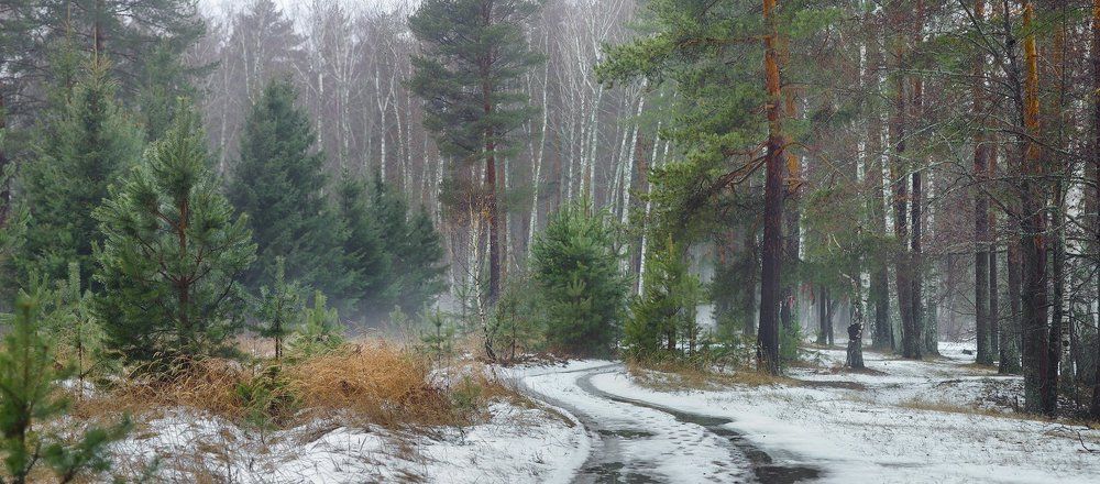 Декабрьская оттепель