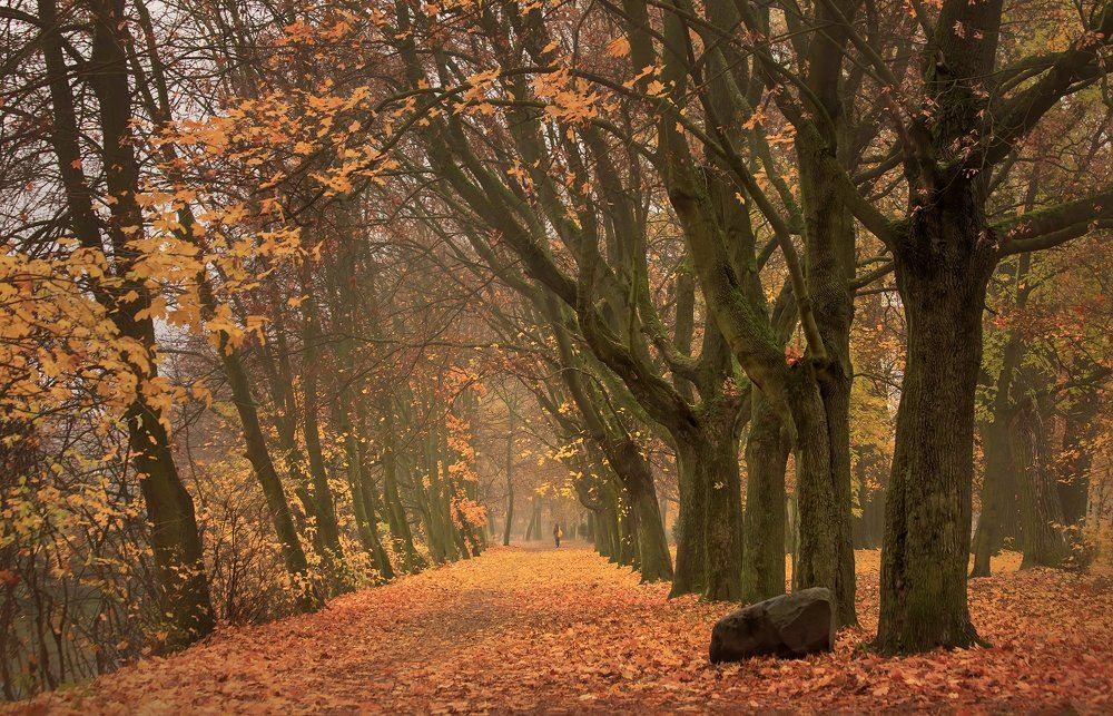 вслед уходящей...