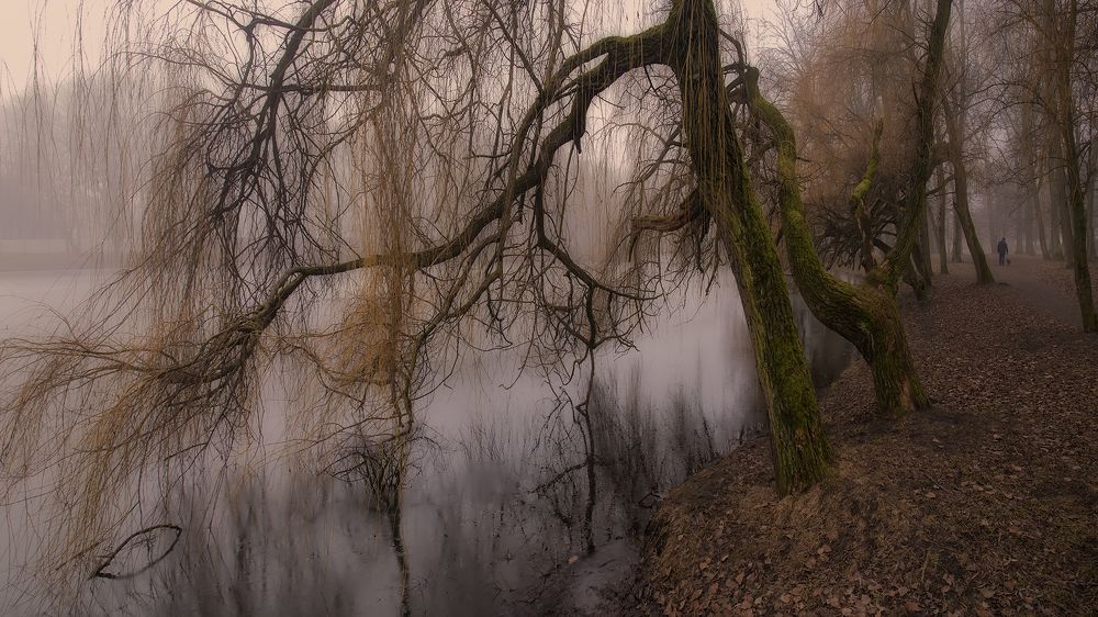 в эти хмурые дни...