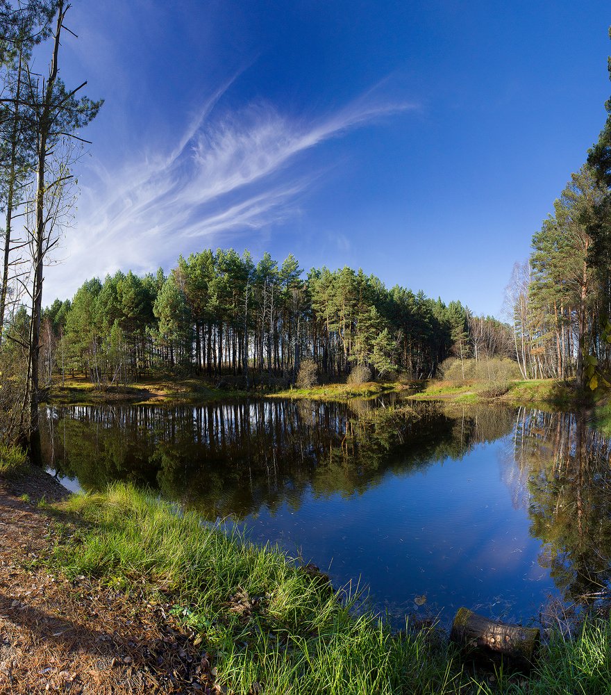 Лесное озеро