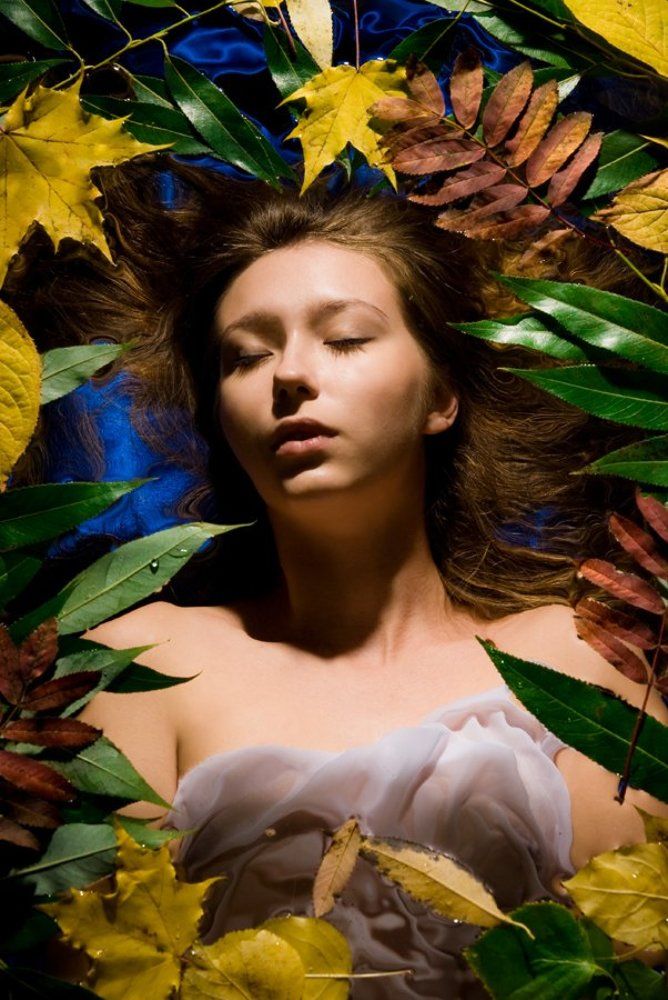 без названия