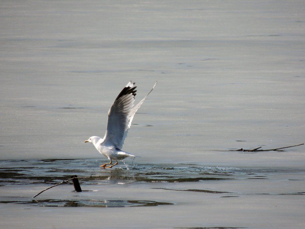 Photograph by Татьяна