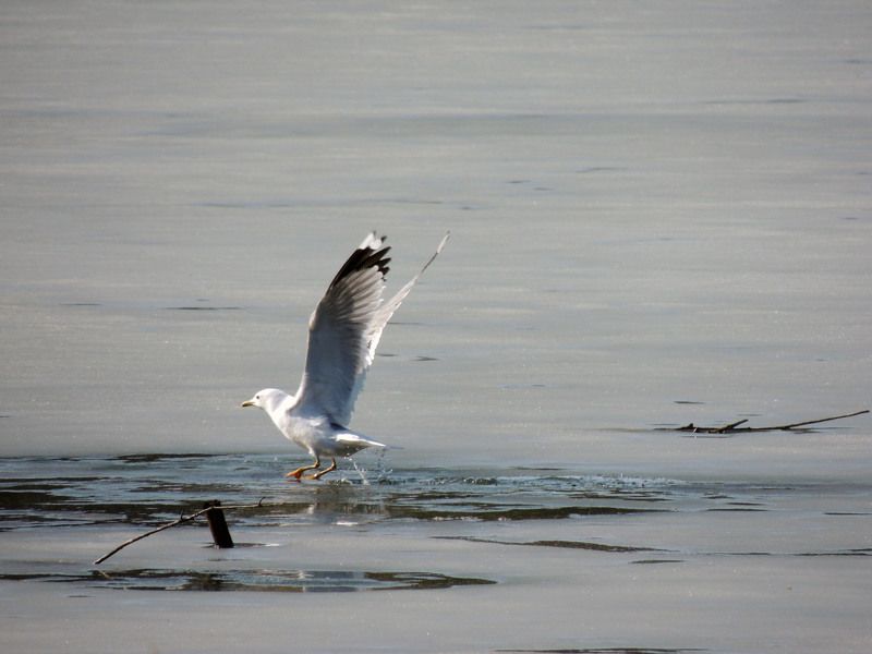 Татьяна, Russia