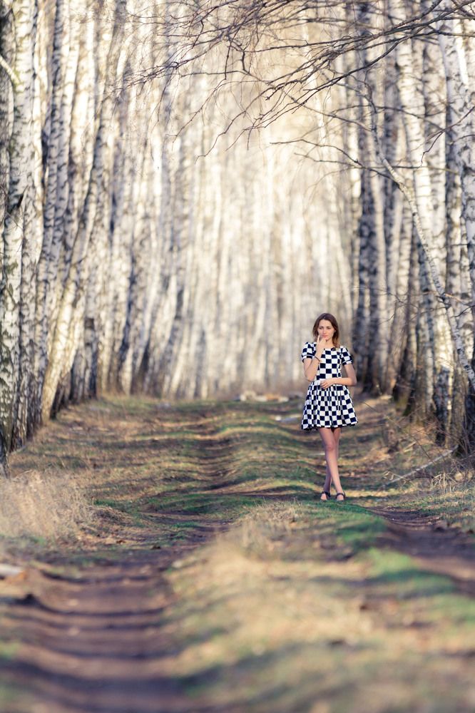 Березовая роща